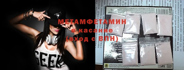 ГАЛЛЮЦИНОГЕННЫЕ ГРИБЫ Бородино