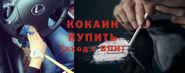 ГАЛЛЮЦИНОГЕННЫЕ ГРИБЫ Бородино