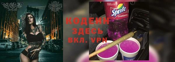 ГАЛЛЮЦИНОГЕННЫЕ ГРИБЫ Бородино