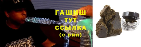 ГАЛЛЮЦИНОГЕННЫЕ ГРИБЫ Бородино