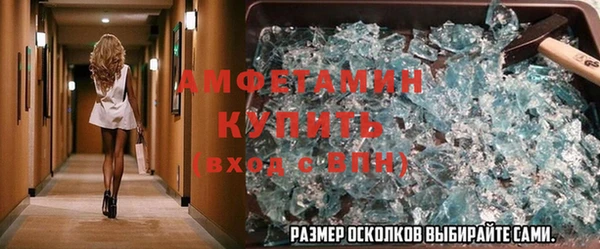 ГАЛЛЮЦИНОГЕННЫЕ ГРИБЫ Бородино