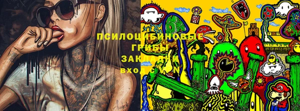 синтетический гашиш Богородицк