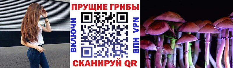Галлюциногенные грибы MAGIC MUSHROOMS  Первомайск 